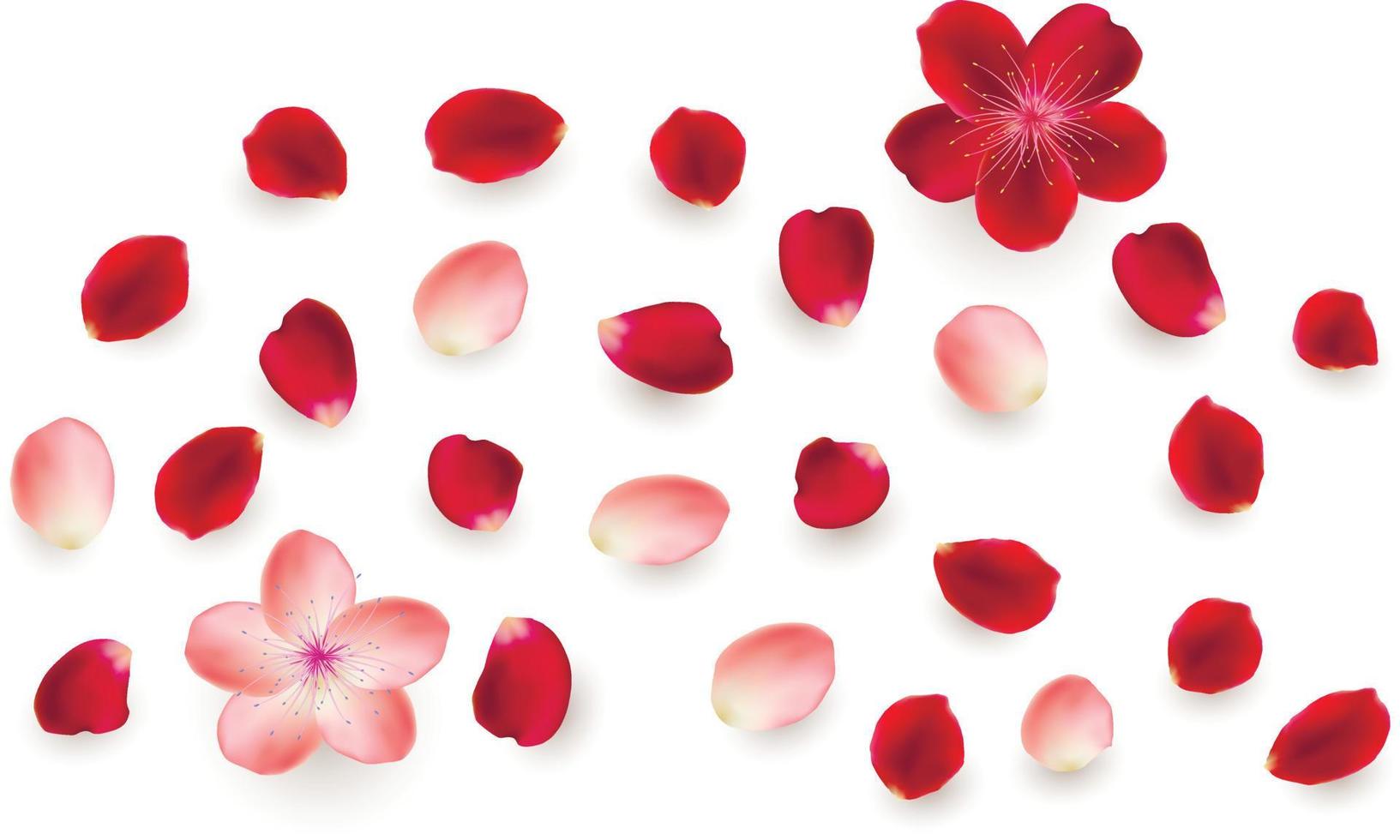 Realistic vector elements set of rose petals. Red and pink petals of rose flower