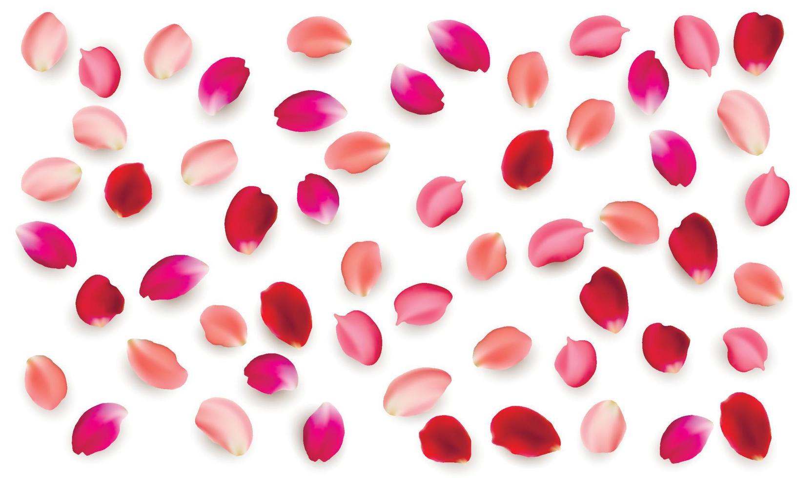 conjunto de elementos vectoriales realistas de pétalos de rosa. pétalos rojos de flor de rosa vector