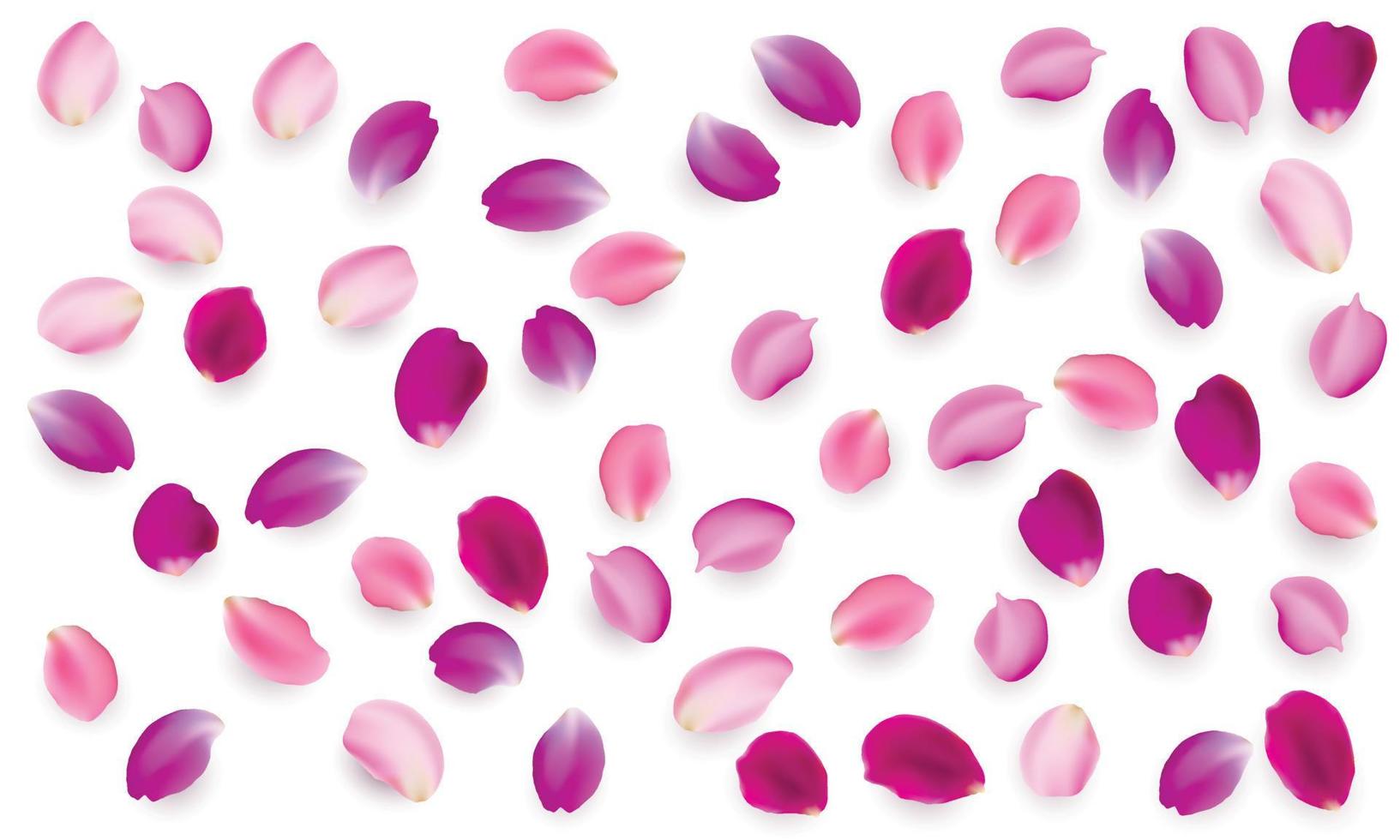 Realistic vector elements set of rose petals. purple, lilac and pink petals of rose flower