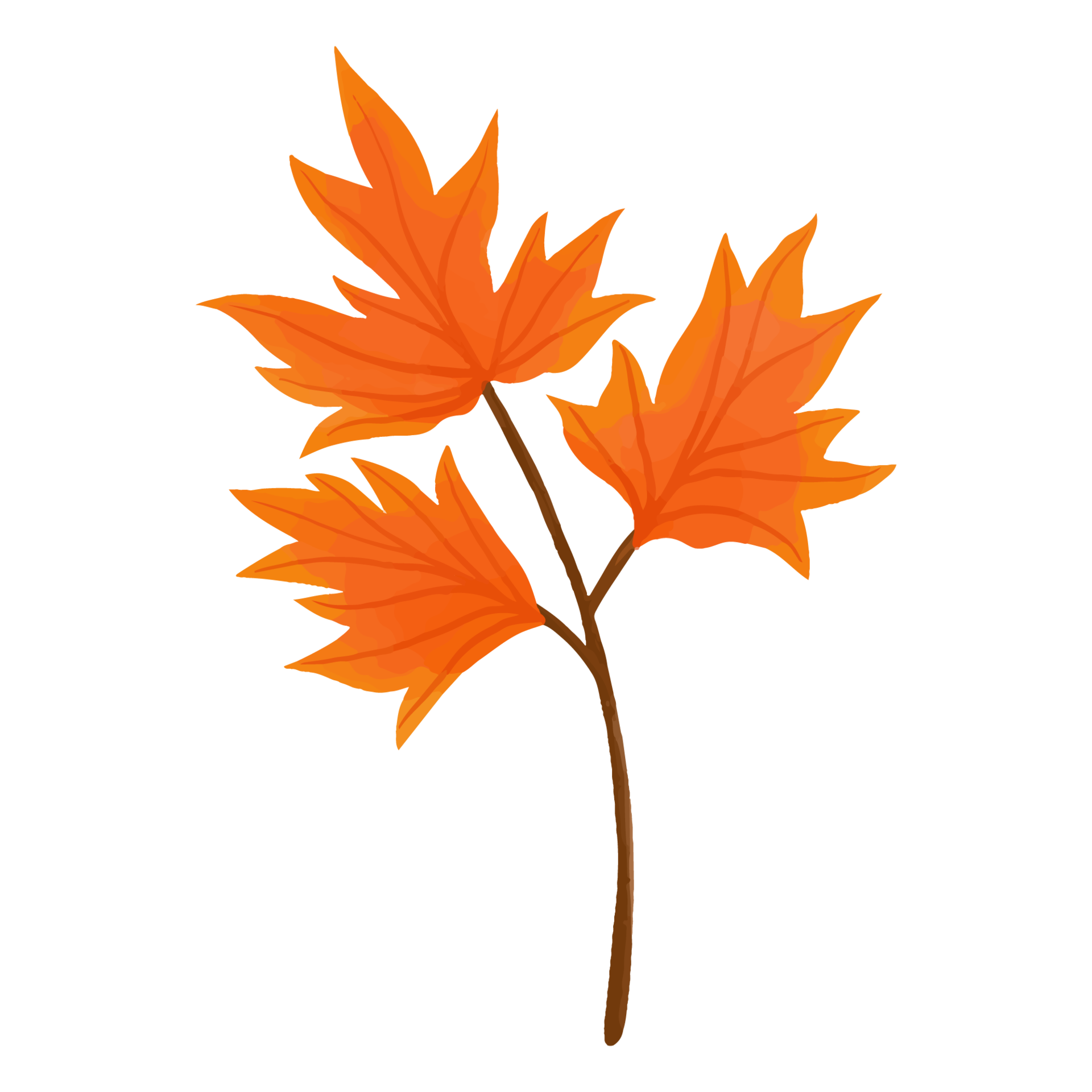 Watercolor Leaf, Autumn leaves clipart 8520008 PNG