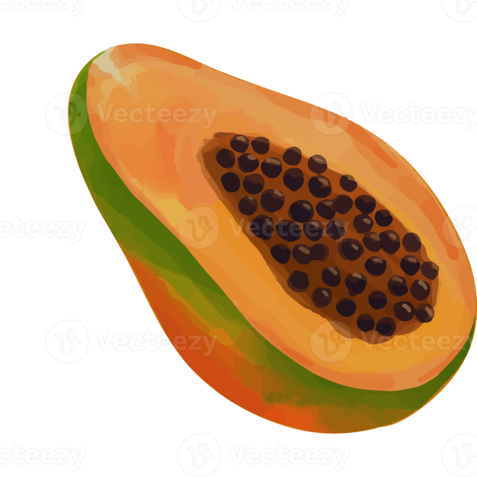 akvarell papaya, handmålad frukt clipart png