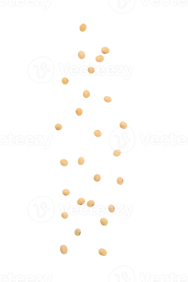 ritaglio di semi di soia che cadono, file png