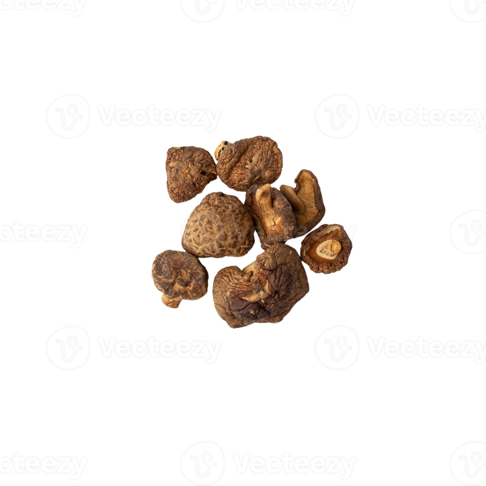 Shiitake mushroom cutout, Png file