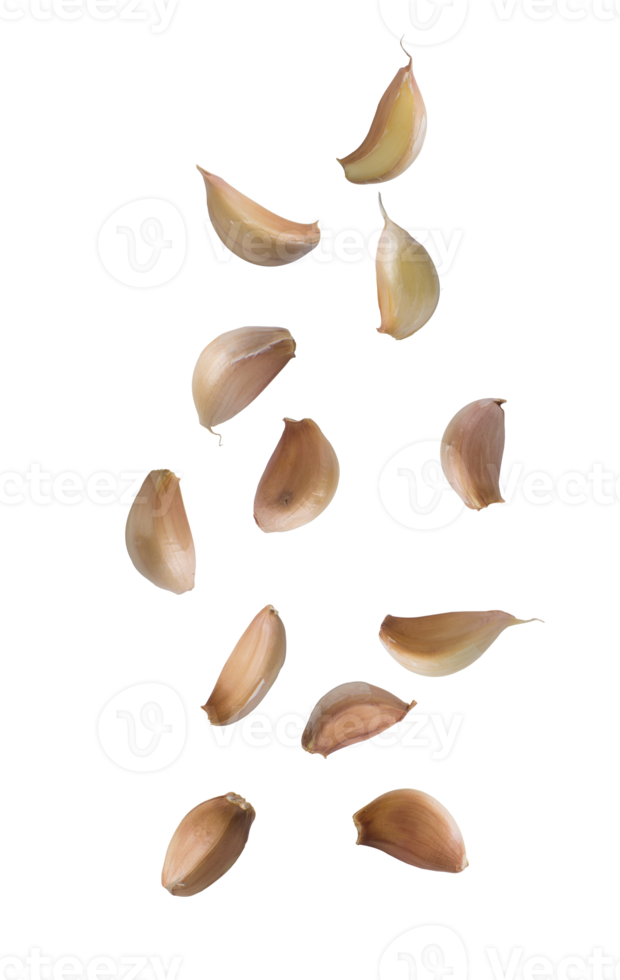 découpe d'ails tombants, fichier png