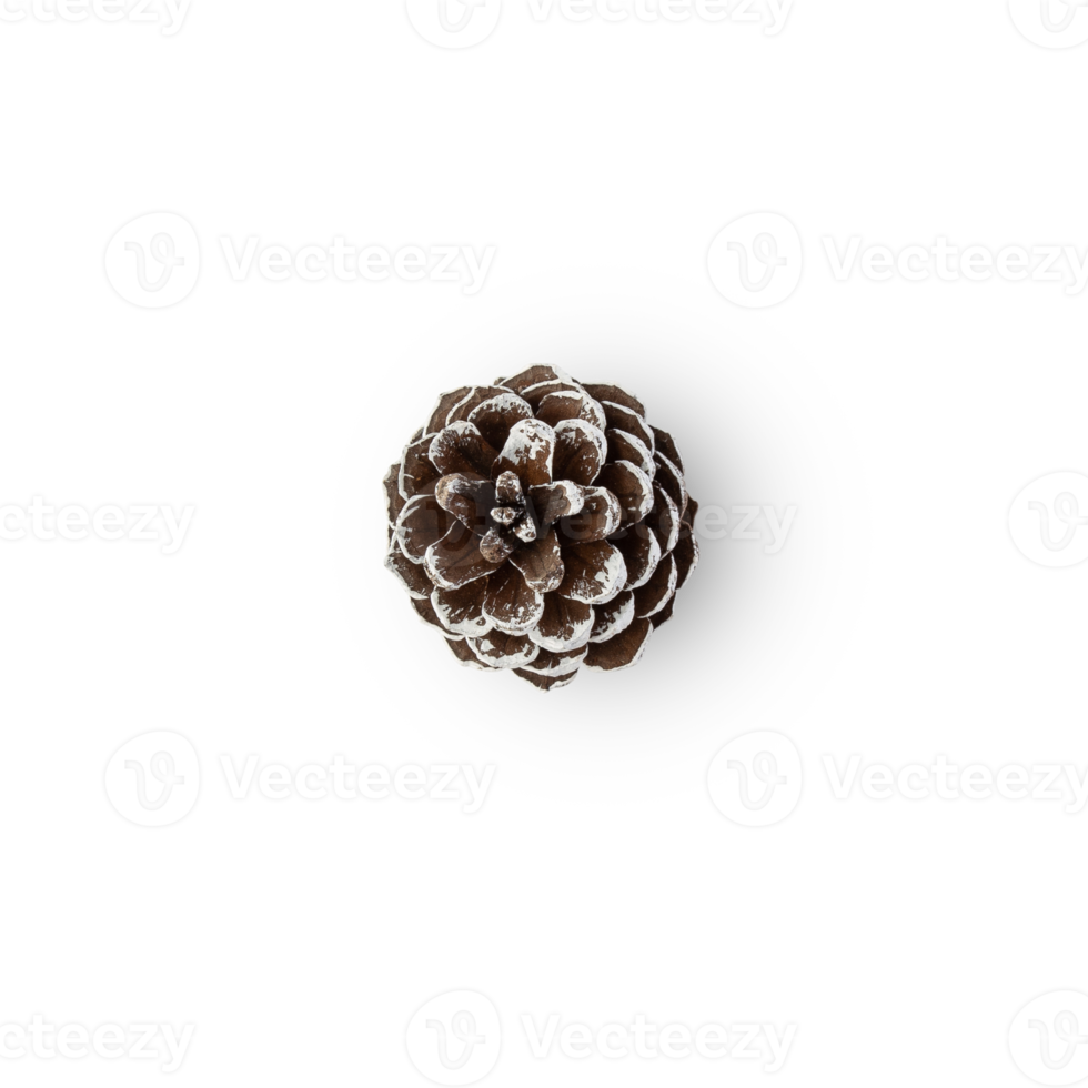 Snow pine cone cutout, Png file