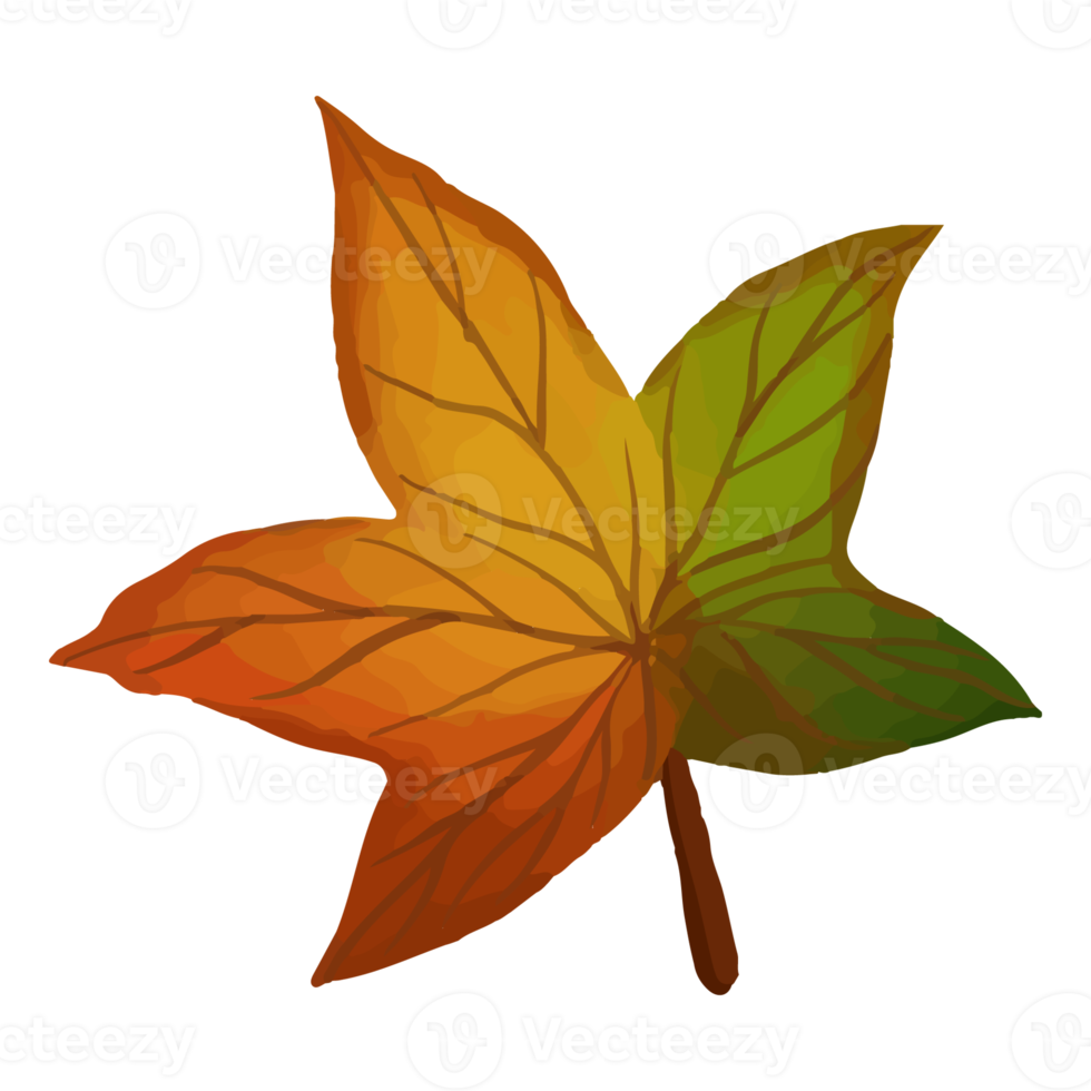 Watercolor Leaf, Autumn leaves clipart png