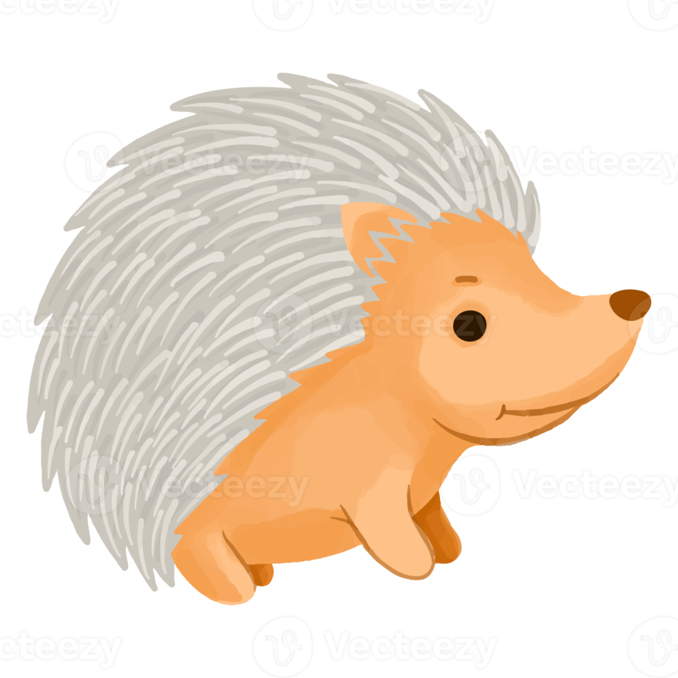 riccio dell'acquerello, clipart di decorazione animale dipinta a mano png