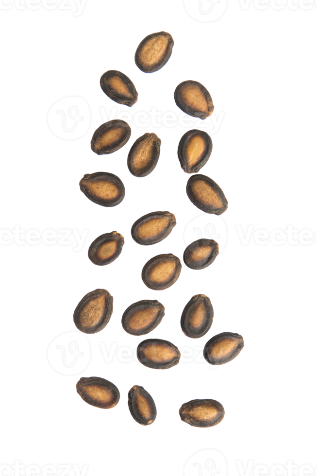 Ausschnitt aus fallenden Wassermelonenkernen, png-Datei png