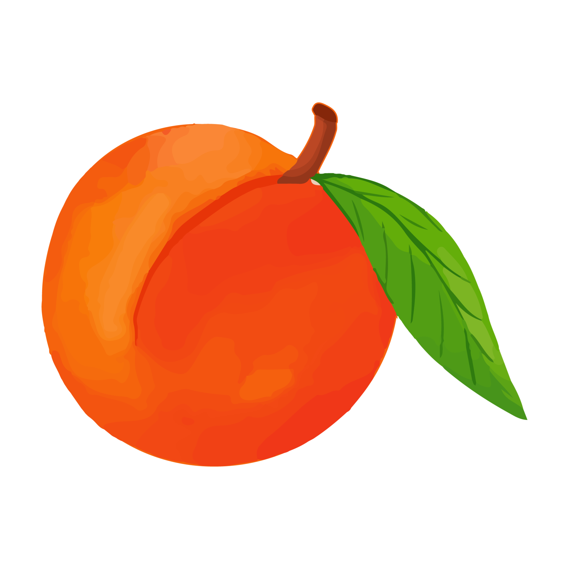 Watercolor Peach, Hand painted fruit clipart 8520441 PNG