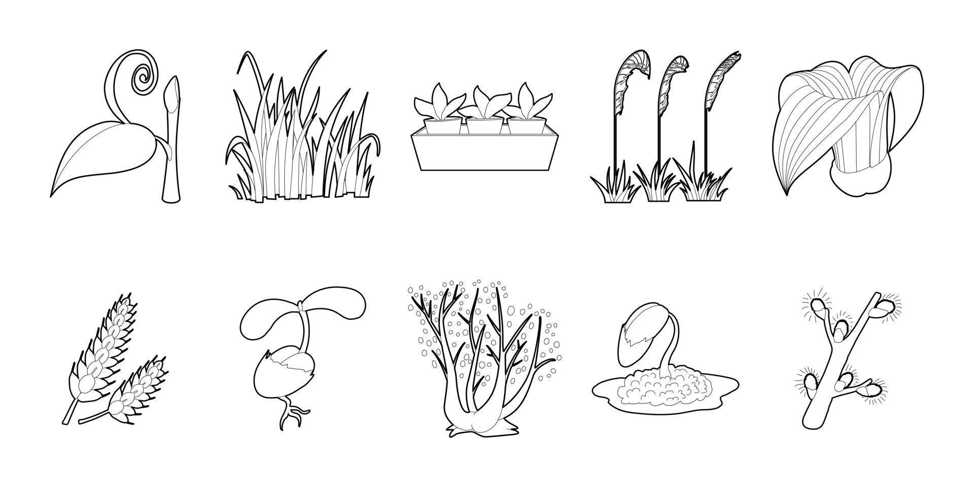 Plant icon set, outline style vector