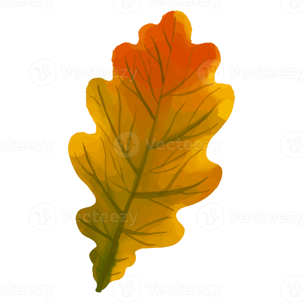 foglia dell'acquerello, clipart di foglie d'autunno png