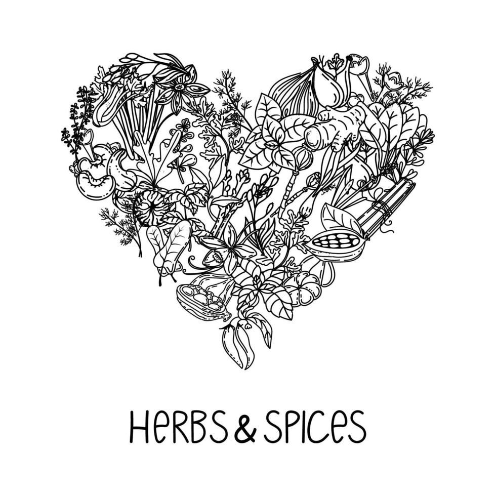 Hand-drawn herbs and spices in a doodle style. Heart-shaped elements. Handwritten inscriptions. Nuts, spices and herbs. Pepper peas. Flat vector style