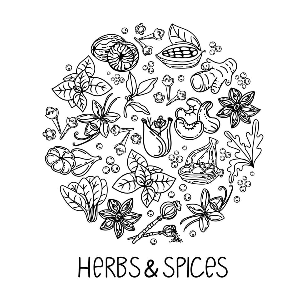 Hand-drawn herbs and spices in a doodle style. Elements in a circle. Handwritten inscription. Nuts, spices and herbs. Pepper peas. Flat style vector