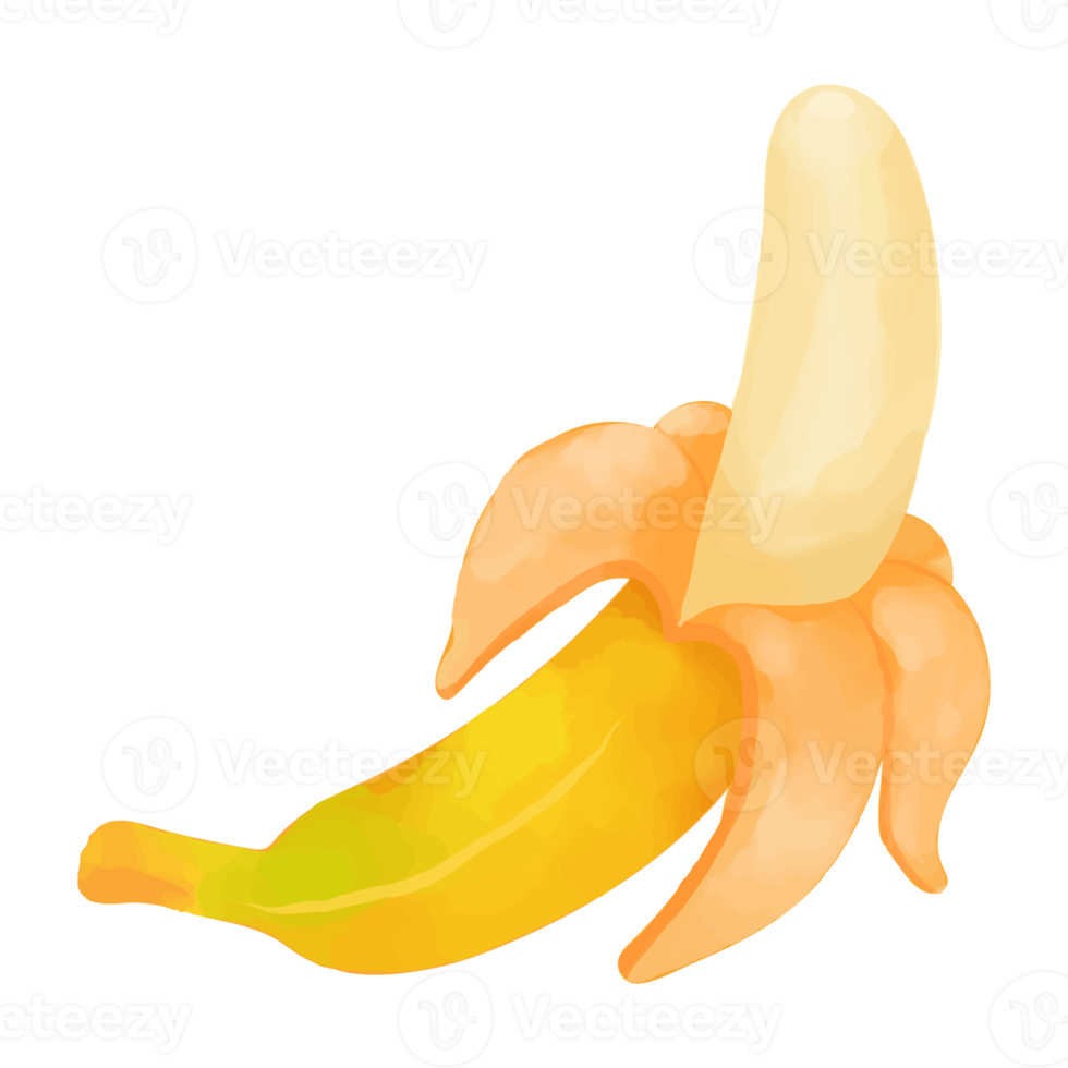 plátano acuarela, clipart de frutas pintadas a mano png