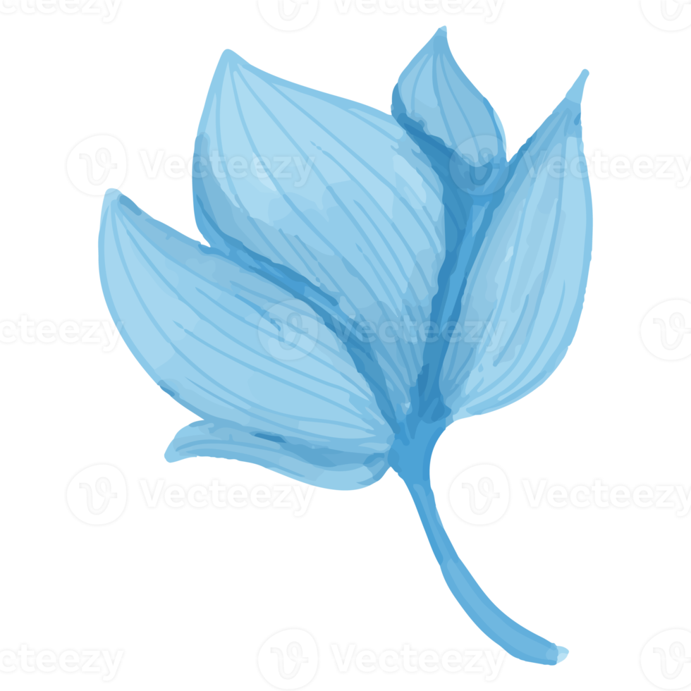 fleur aquarelle, clipart flore bleue png