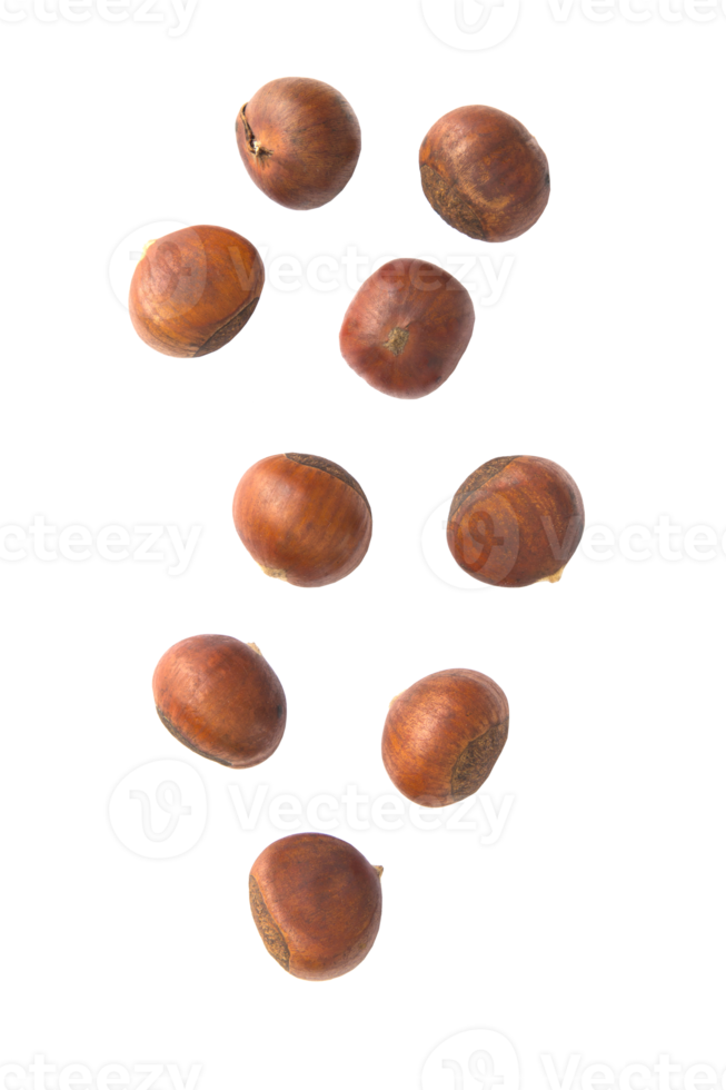 Falling chestnut cutout, Png file