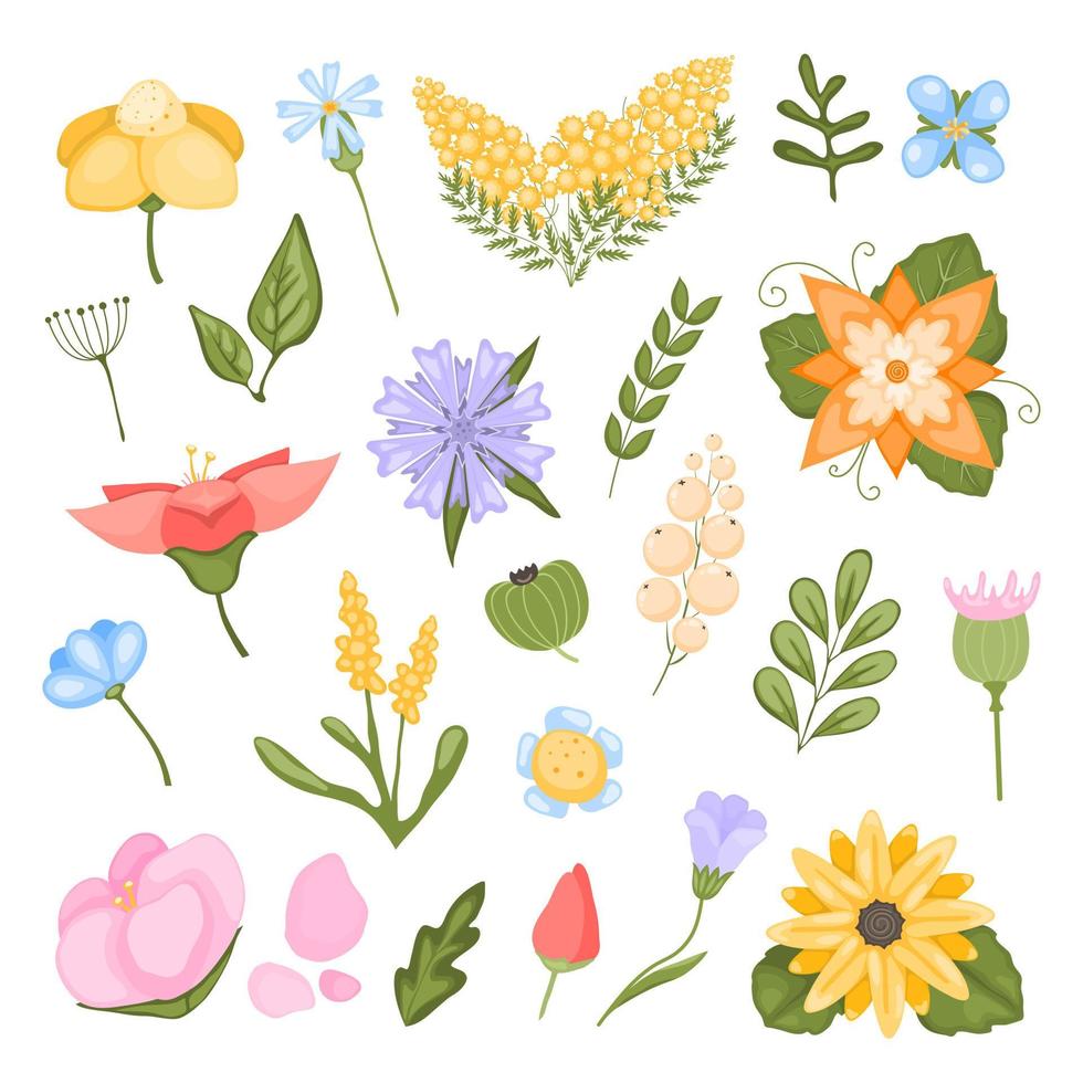 Collection of flower plants. Fabulous, magical vector blossoms set.