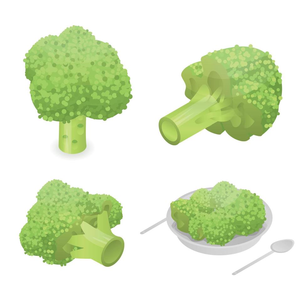 Broccoli cabbage icon set, isometric style vector