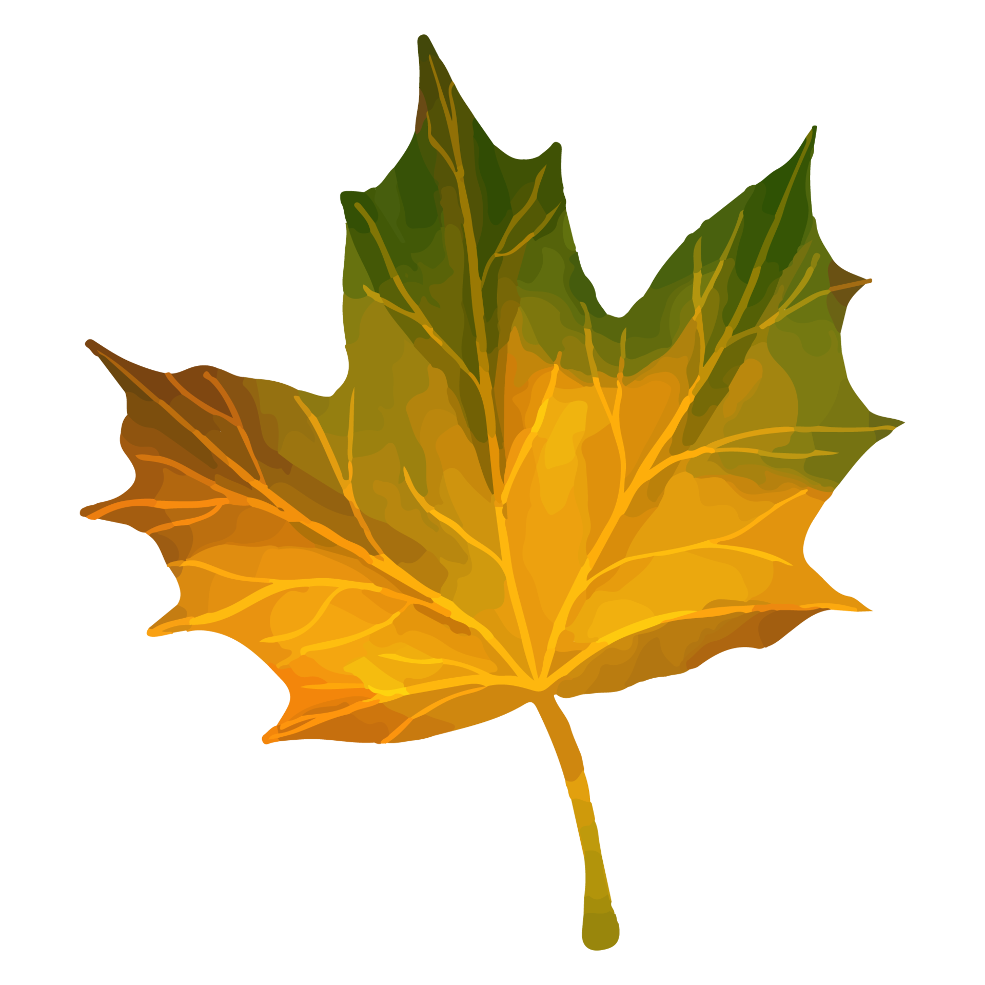 Watercolor Leaf, Autumn leaves clipart 8520847 PNG