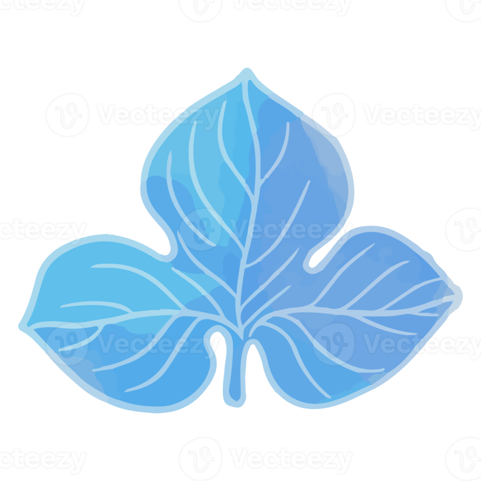 Watercolor Leaf, Blue leaves clipart png