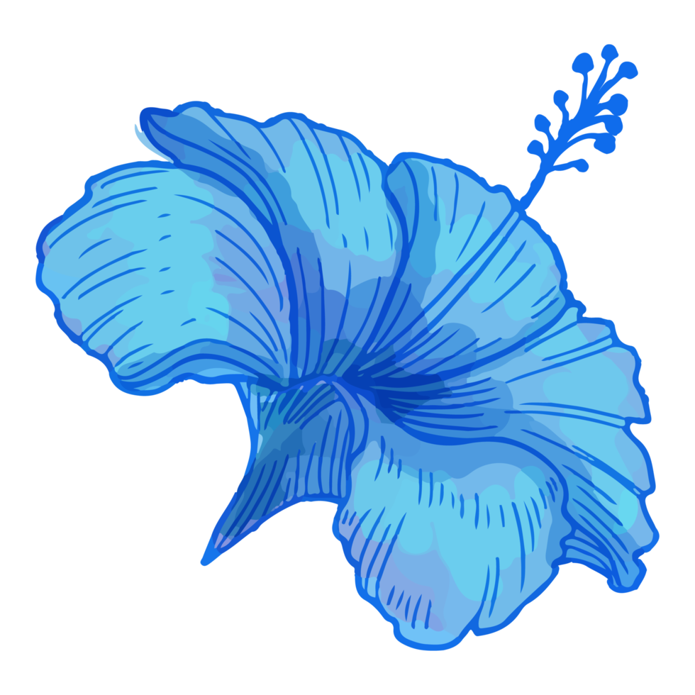 flor em aquarela, flora azul clipart png