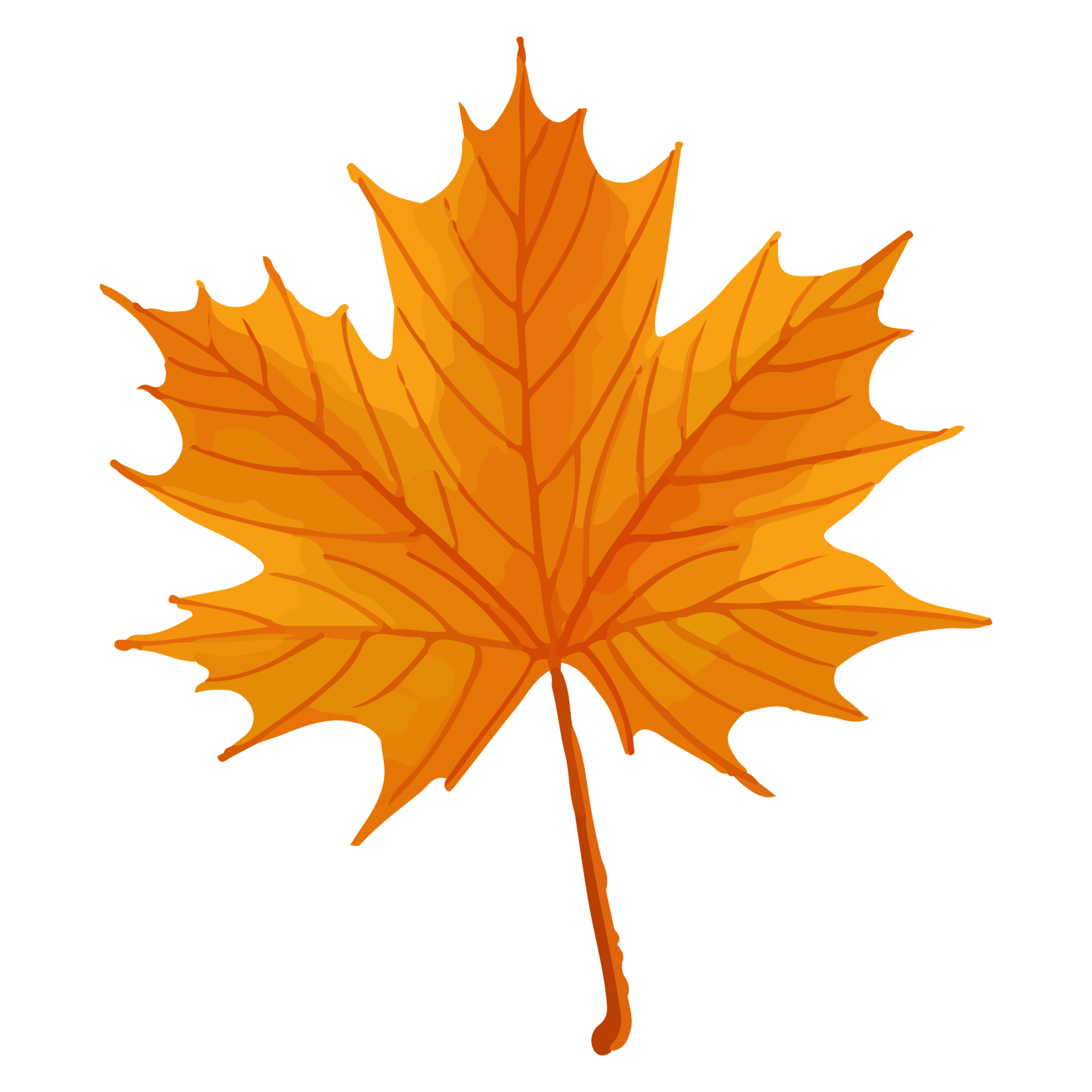 Orange Fall Leaf Clip Art
