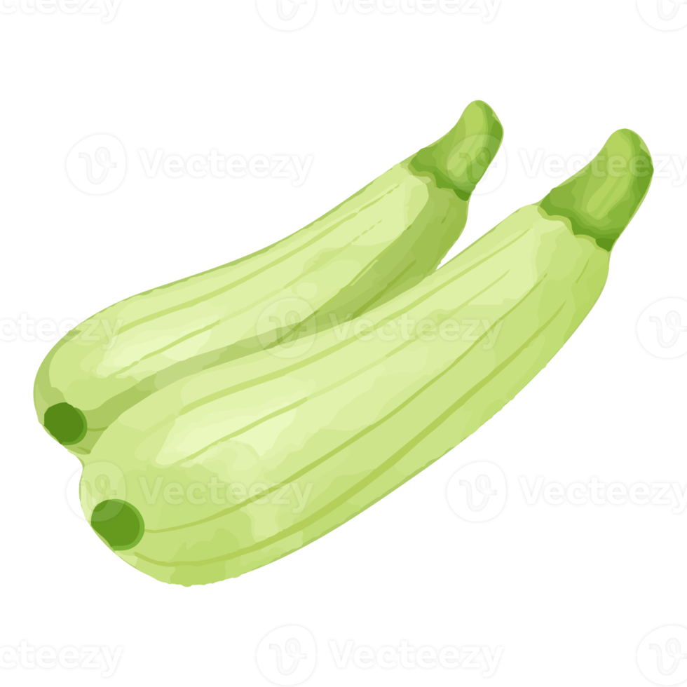 pepino acuarela, clipart de verduras pintadas a mano png