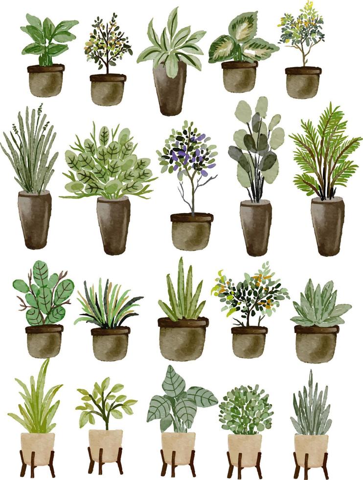 conjunto de plantas de la casa de acuarela vector