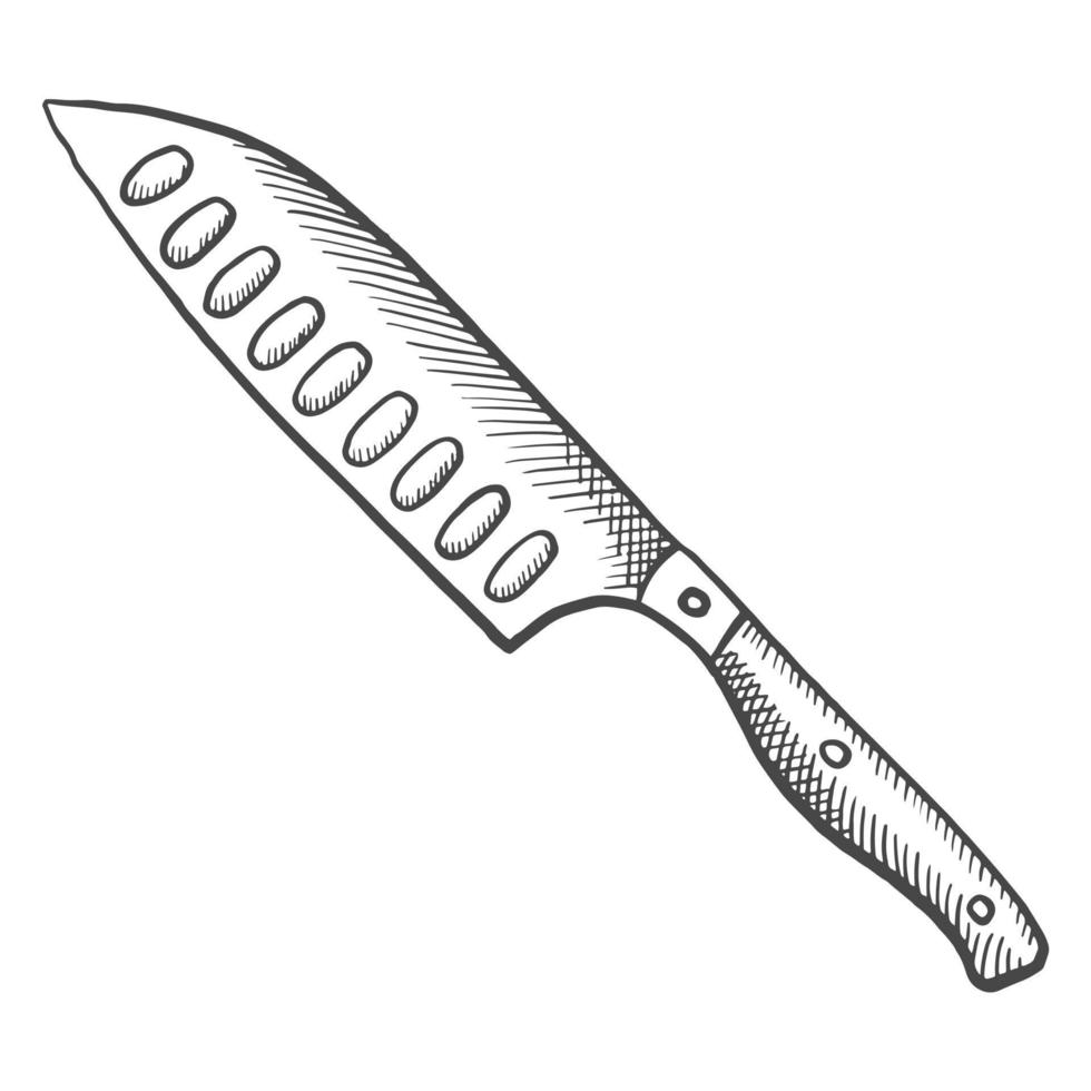 kitchen santoku knife isolated doodle hand drawn sketch with outline style vector