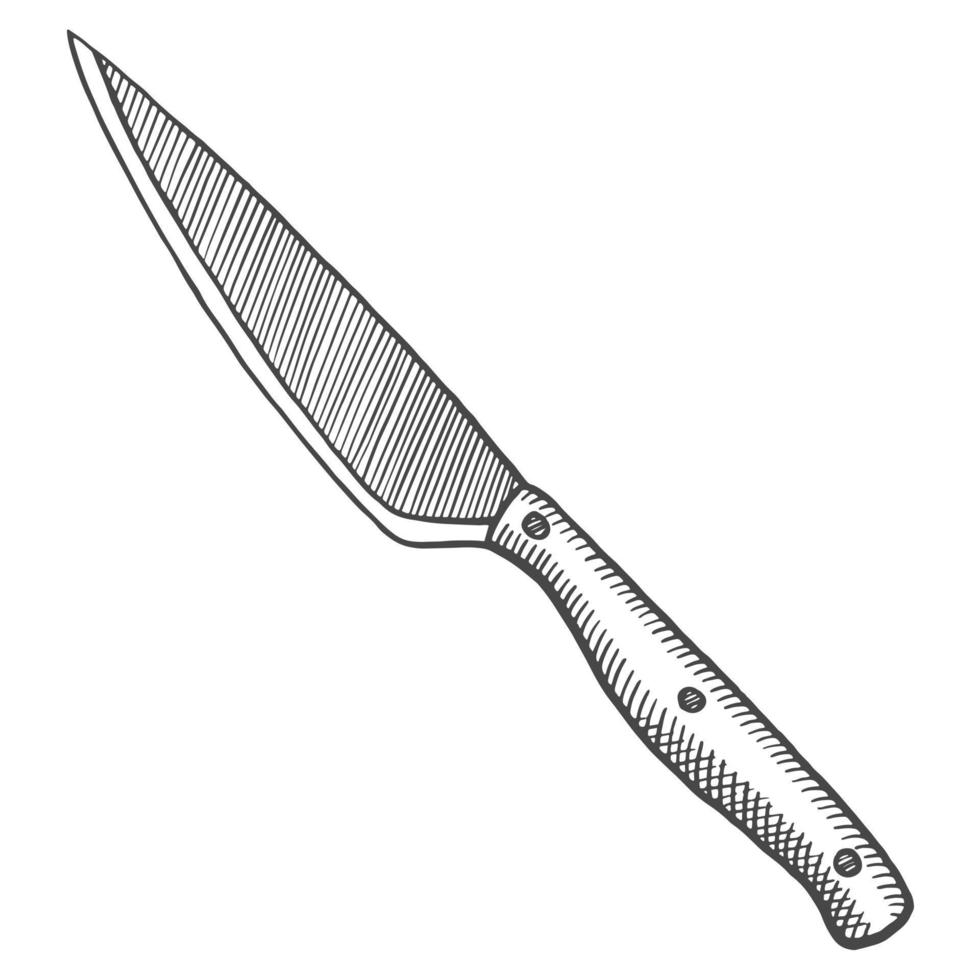 kitchen utility knife isolated doodle hand drawn sketch with outline style vector