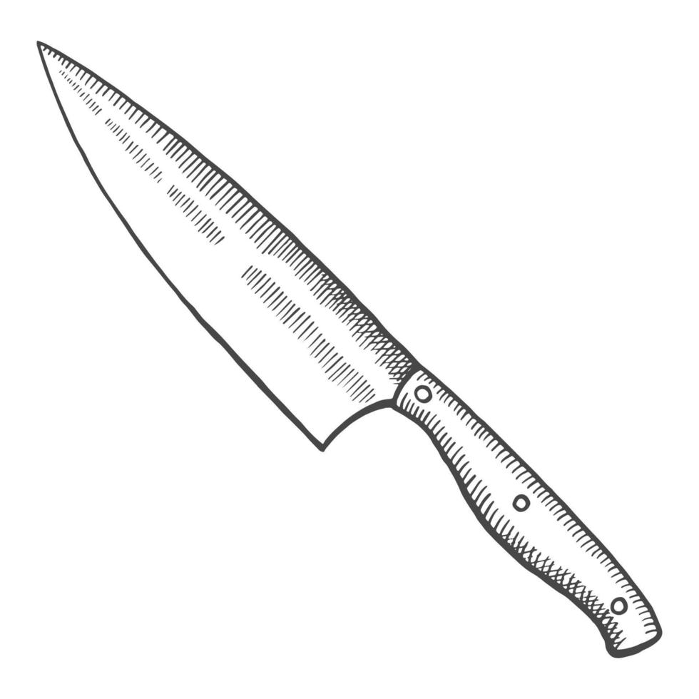 kitchen chef knife isolated doodle hand drawn sketch with outline style vector