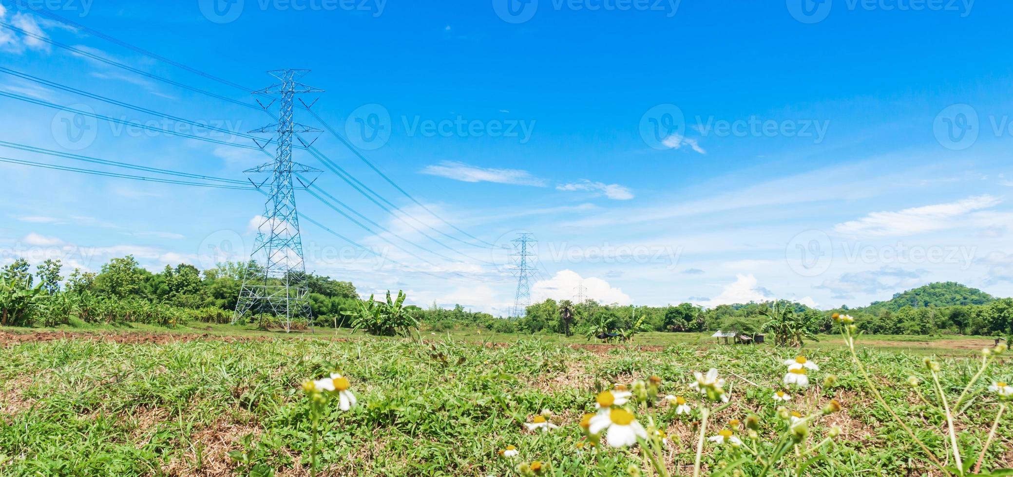 poste de alto voltaje con naturaleza, pastizales y cielo azul foto