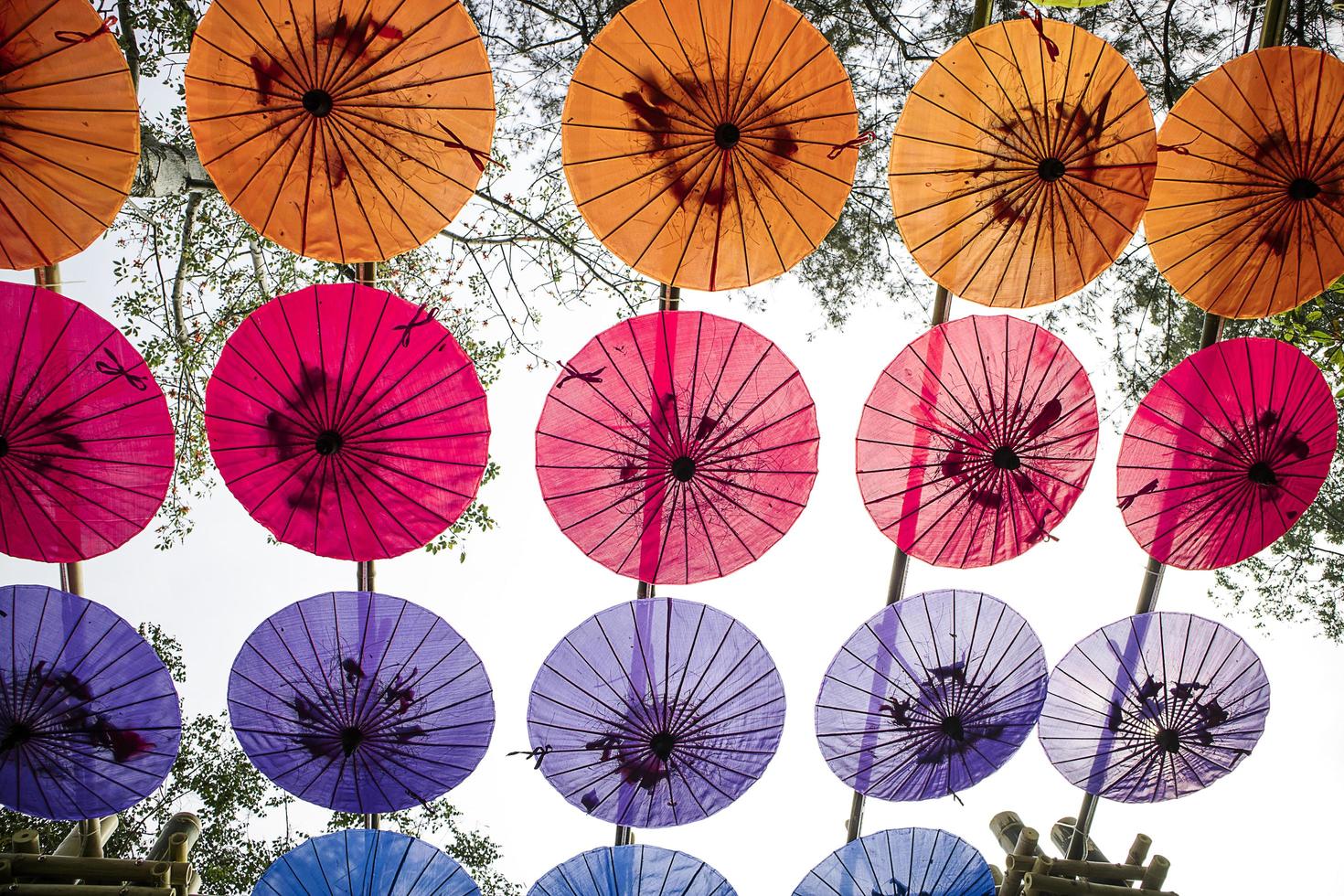 Colorful umbrellas in the park. photo