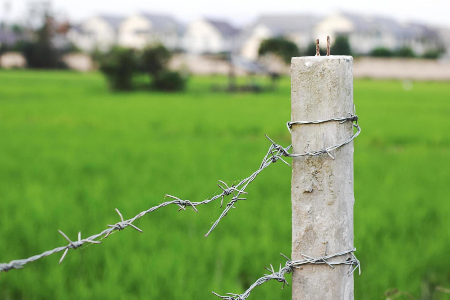 fence with barbed wire in the field background photo