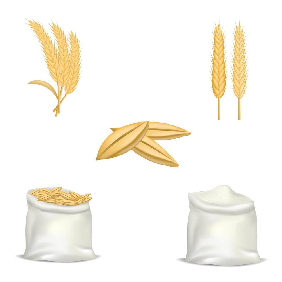 Barley wheat hops mockup set, realistic style vector