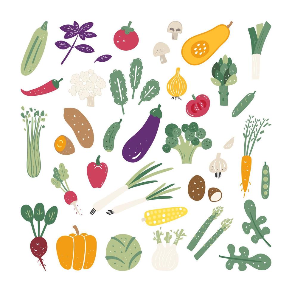 Big set of different doodle style vegetables and greens. Vegetarian and vegan organic healthy food vector