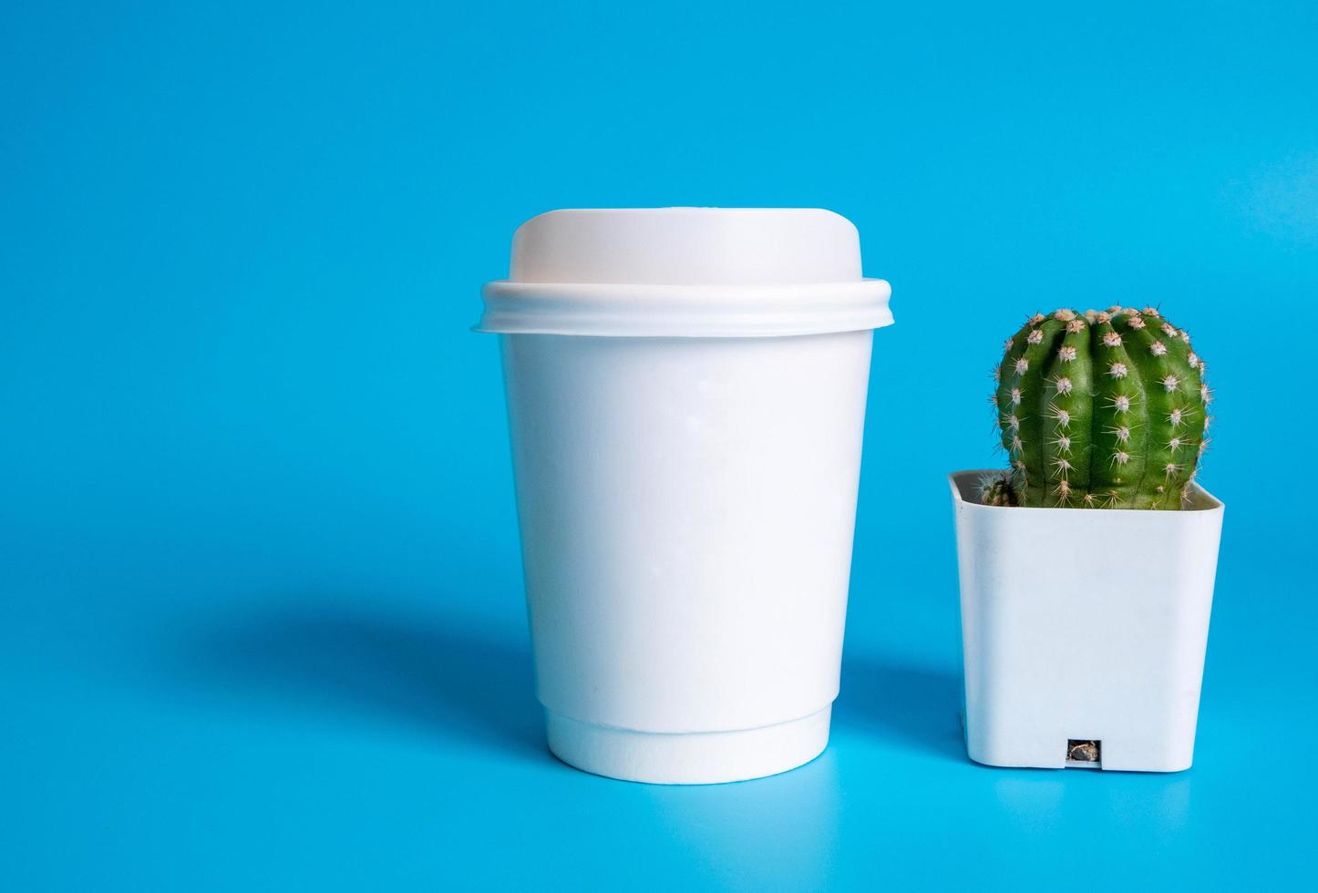 Front view,disposable  white coffee paper cup, filled with hot coffee and Cactus in white pot. coffee ready drink, aroma awake fresh work placed on blue isolated background. photo