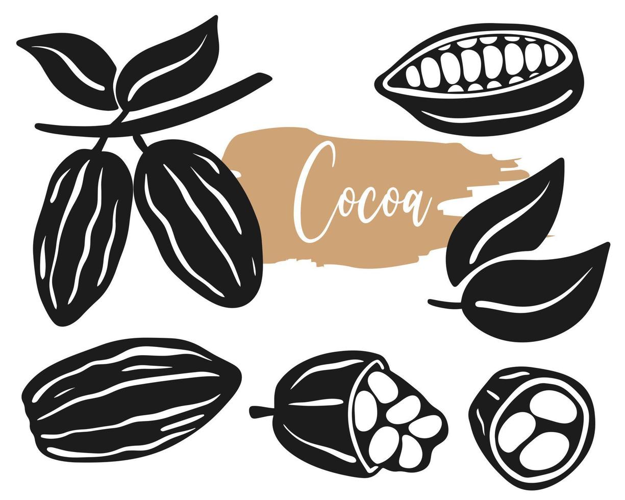 Cocoa beans isolated vector set illustration