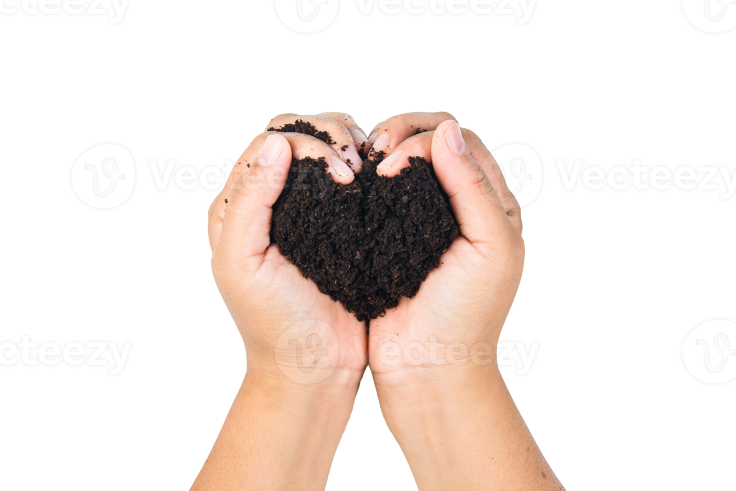 soil in hands , Hands dirty with clay black wheat in hands isolate background png