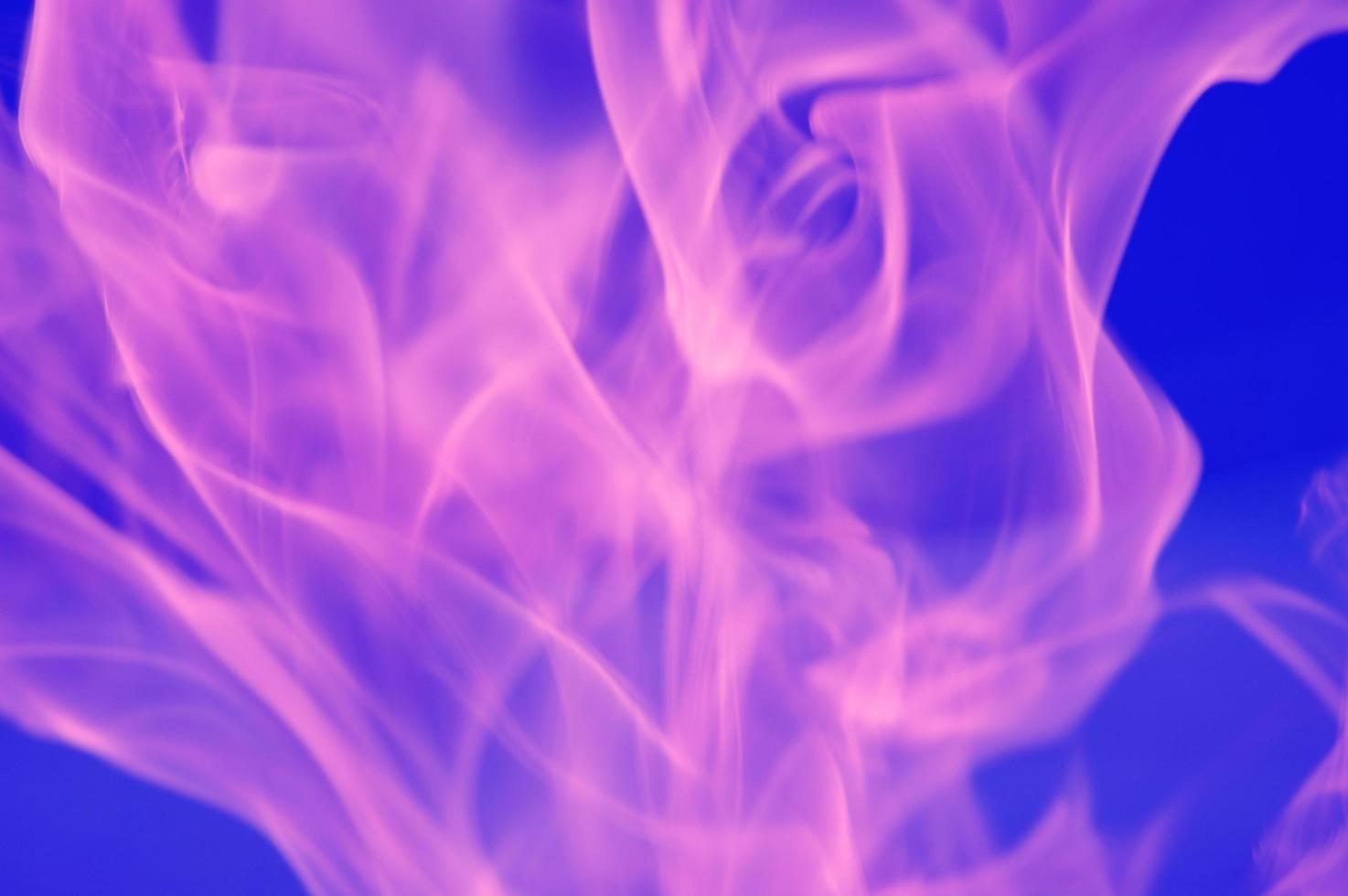Abstract glare of flames of pink light on a blue background. photo