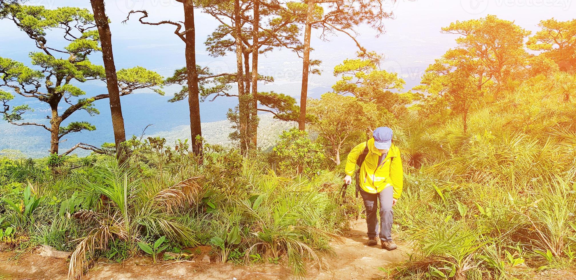 Hiker or man hiking in yellow shirt walking and travel to height mountain and forest with orange sunlight flare and pine at Doi Luang, Tak, Thailand - Activity, Beauty of Nature and Traveling concept photo