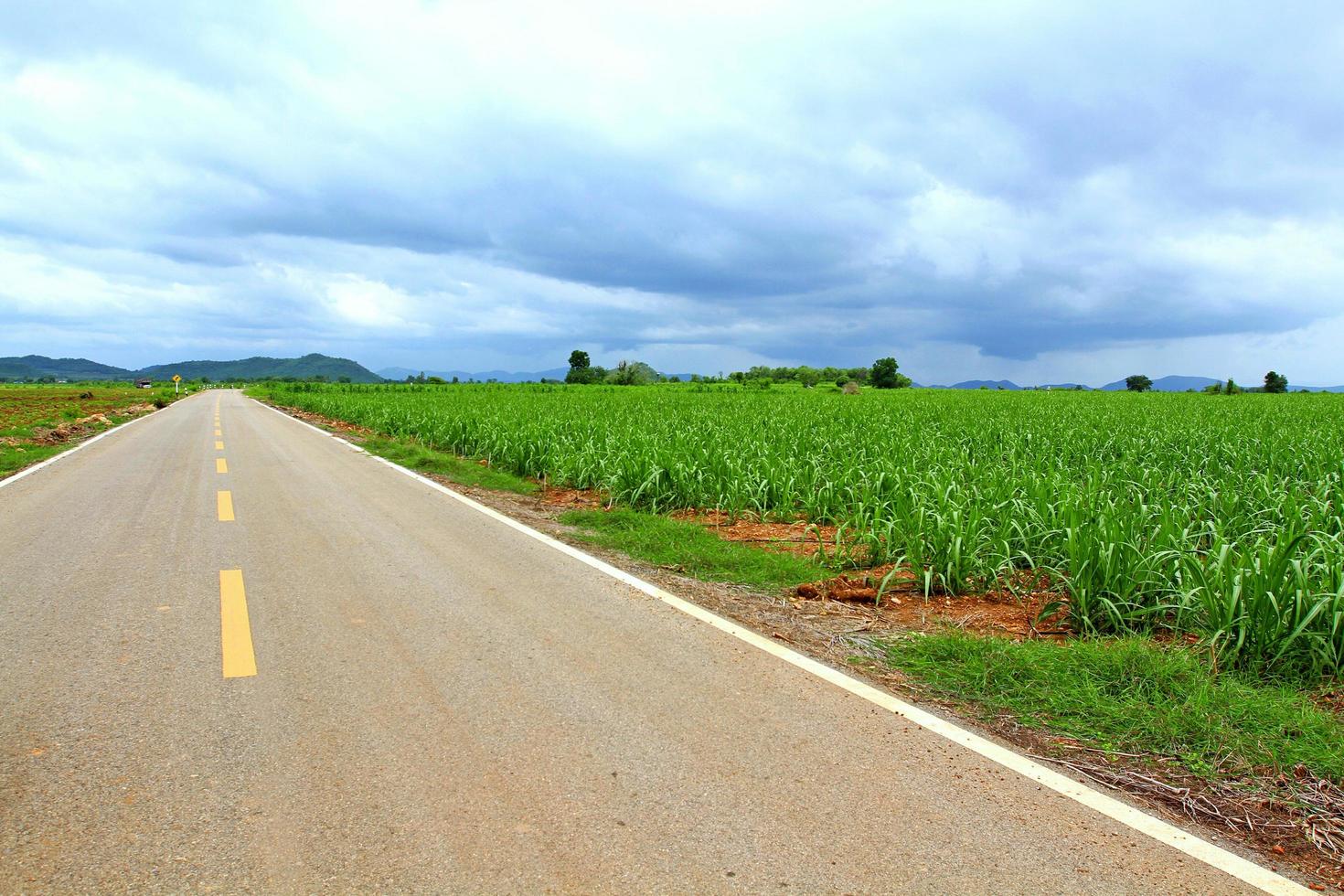 camino asfaltado largo y vacío o camino rural con hermosa granja de maíz y cielo nublado. belleza de la naturaleza y papel tapiz natural. foto