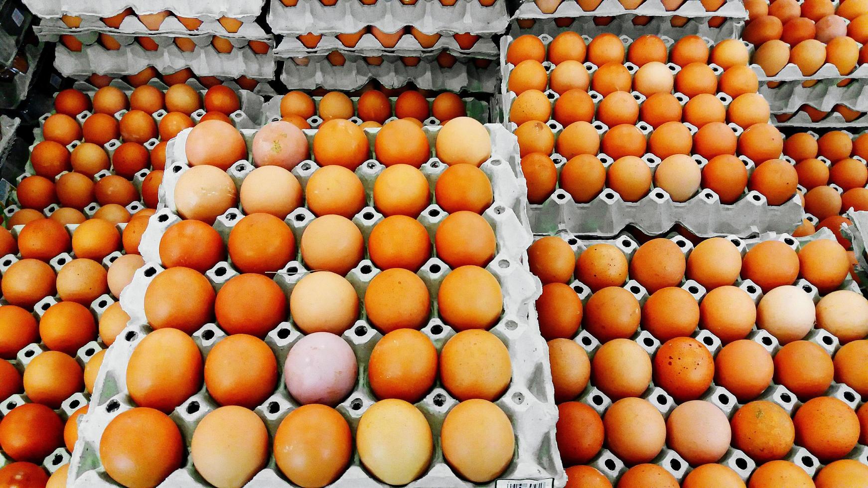 Egg Sale Stock Photos, Images and Backgrounds for Free Download