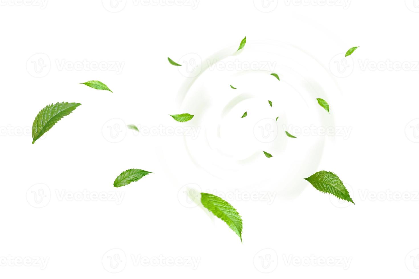 Green Floating Leaves Flying Leaves Green Leaf Dancing, Air Purifier Atmosphere Simple Main Picture photo