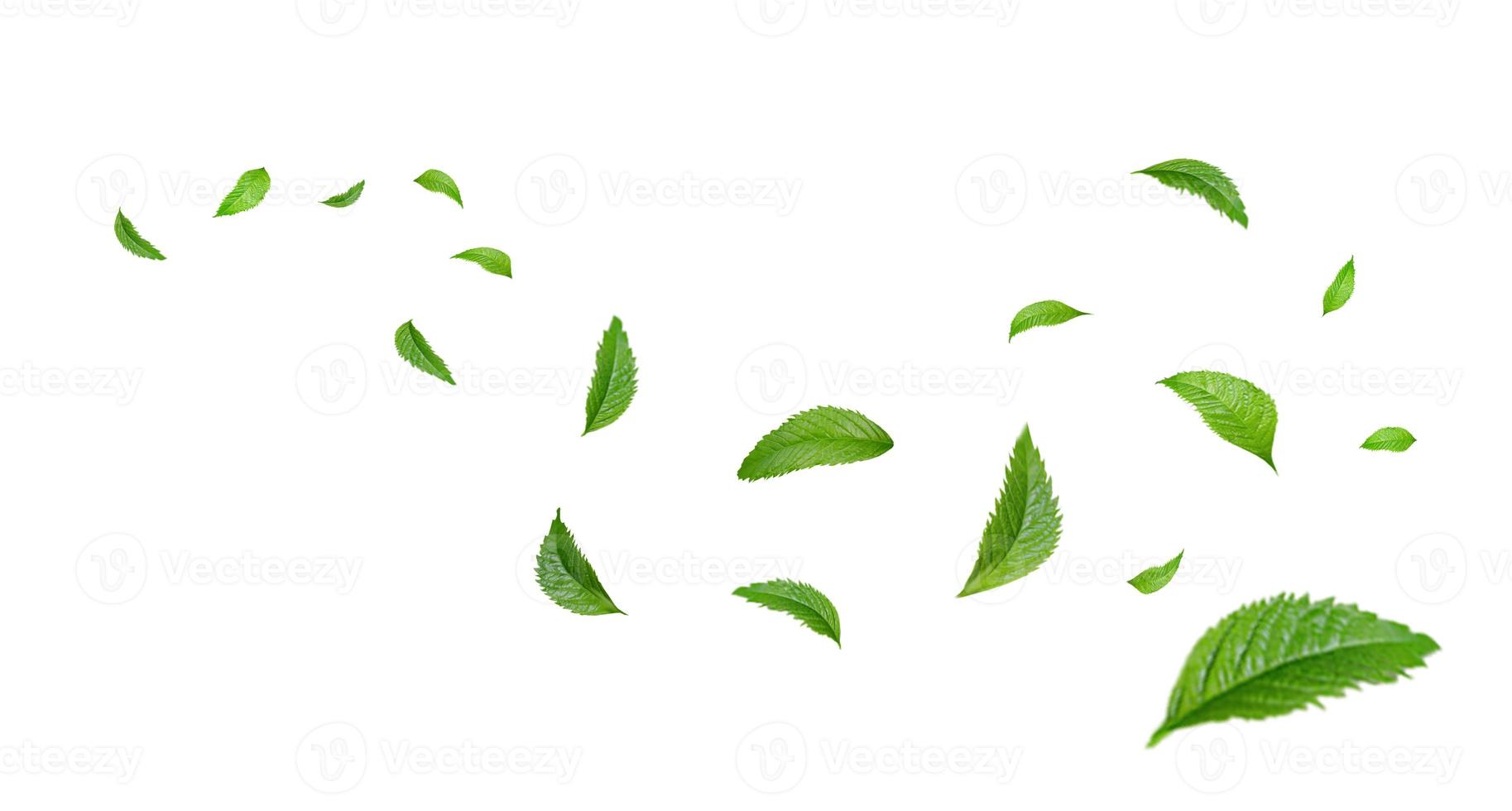 Green Floating Leaves Flying Leaves Green Leaf Dancing, Air Purifier Atmosphere Simple Main Picture photo