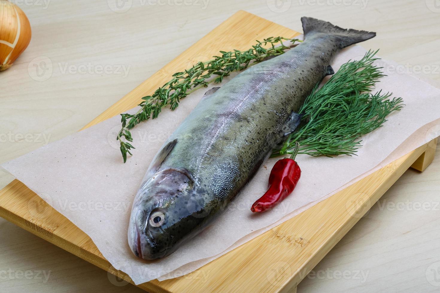 Raw trout on a board photo