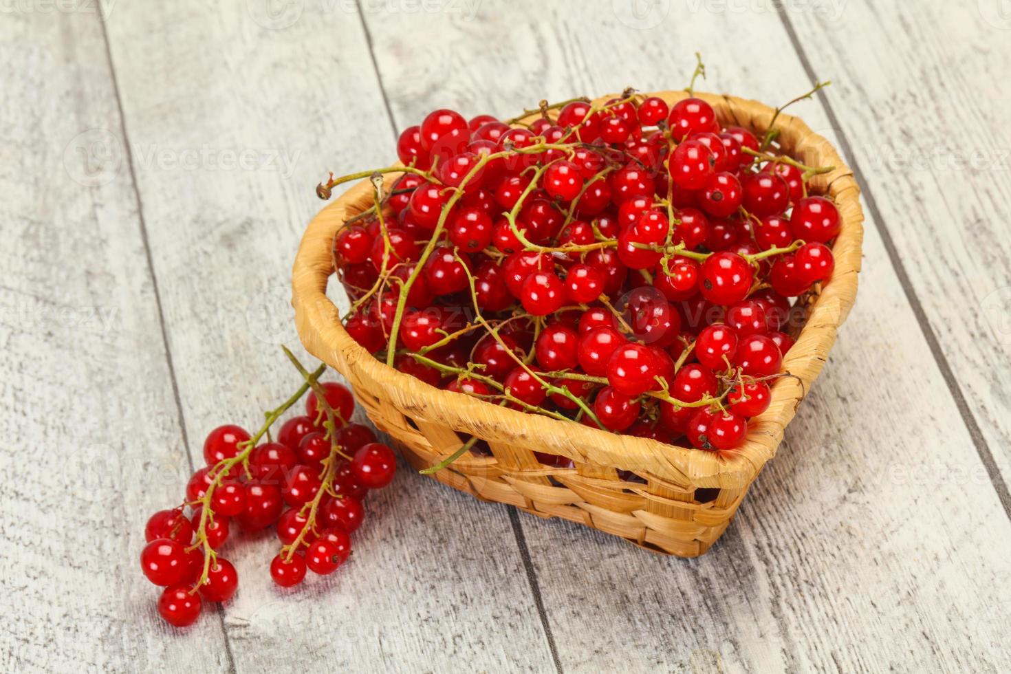 Sweet tasty fresh Red currant photo