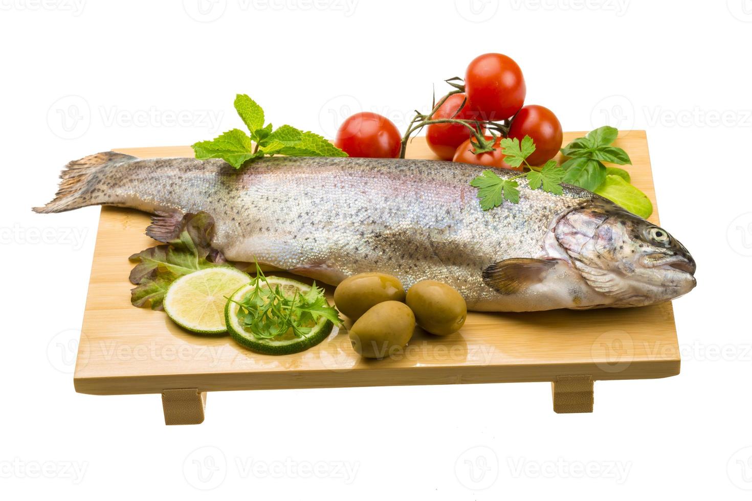 Fresh raw rainbow trout photo