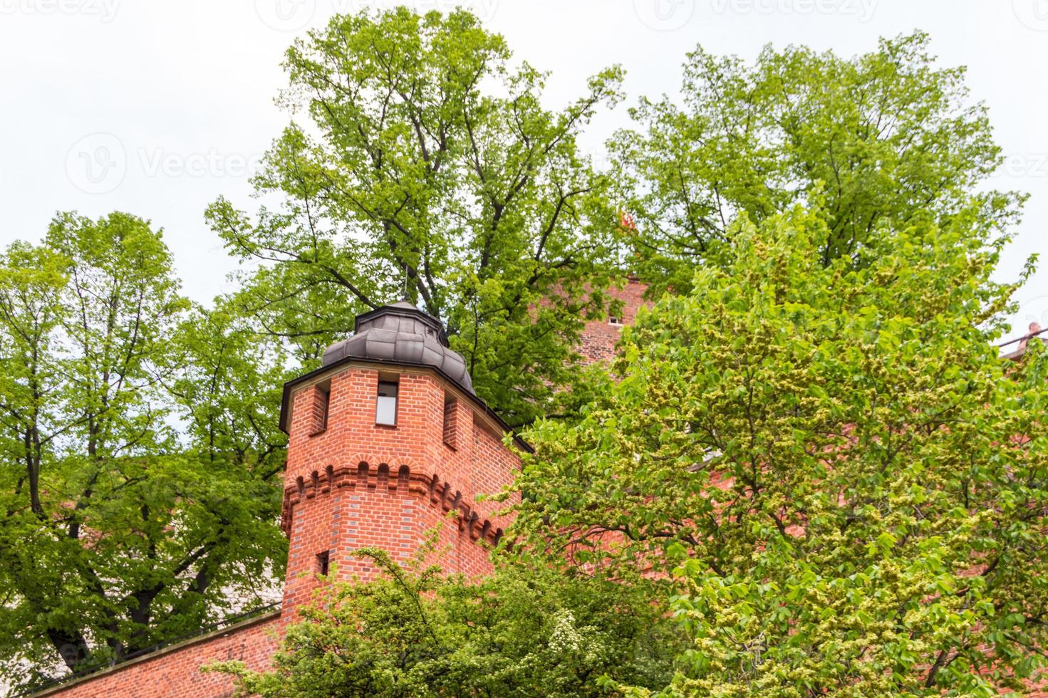 Royal castle in Wawel, Krakow photo