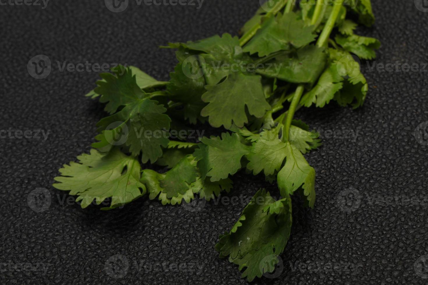 Fresh ripe  Green cilantro leaves photo